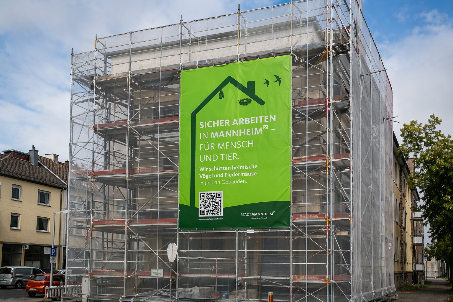 Schutz von Gebäudebrütern beim Sanieren